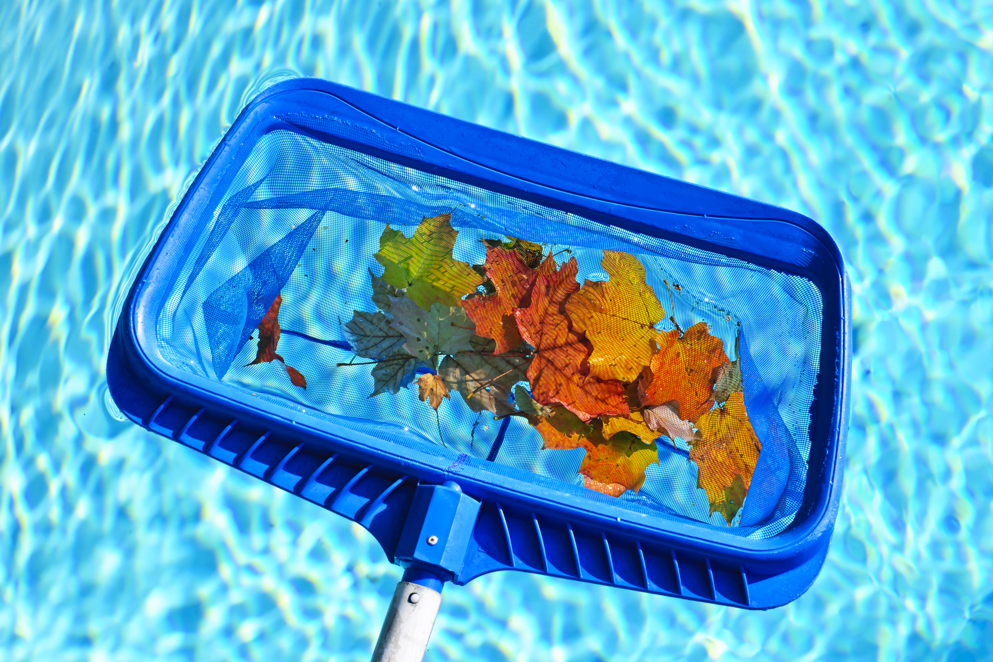 Cómo realizar el mantenimiento de la piscina en otoño