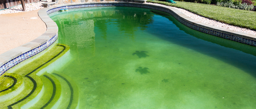 Água verde na piscina: como evitar?
