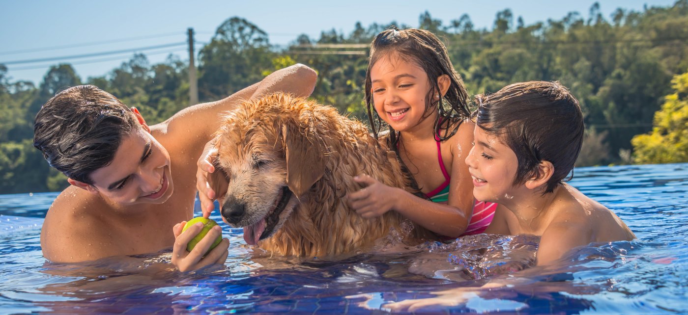 6 dicas de segurança para cachorros na piscina
