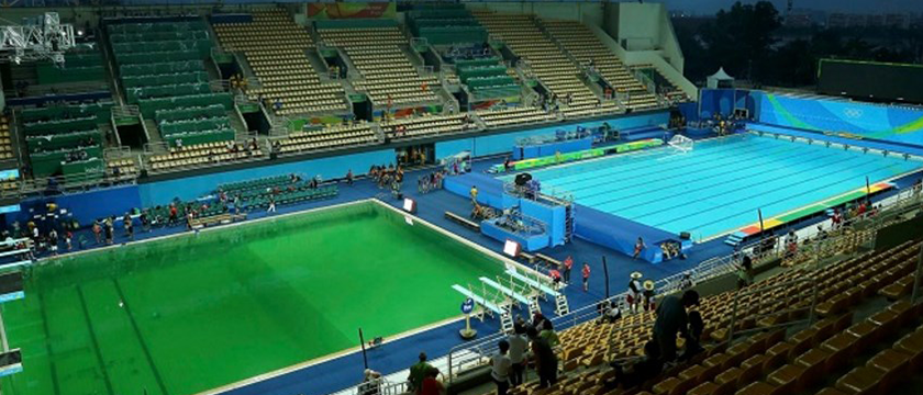 Algas en la piscina olímpica: ¿qué hacer?